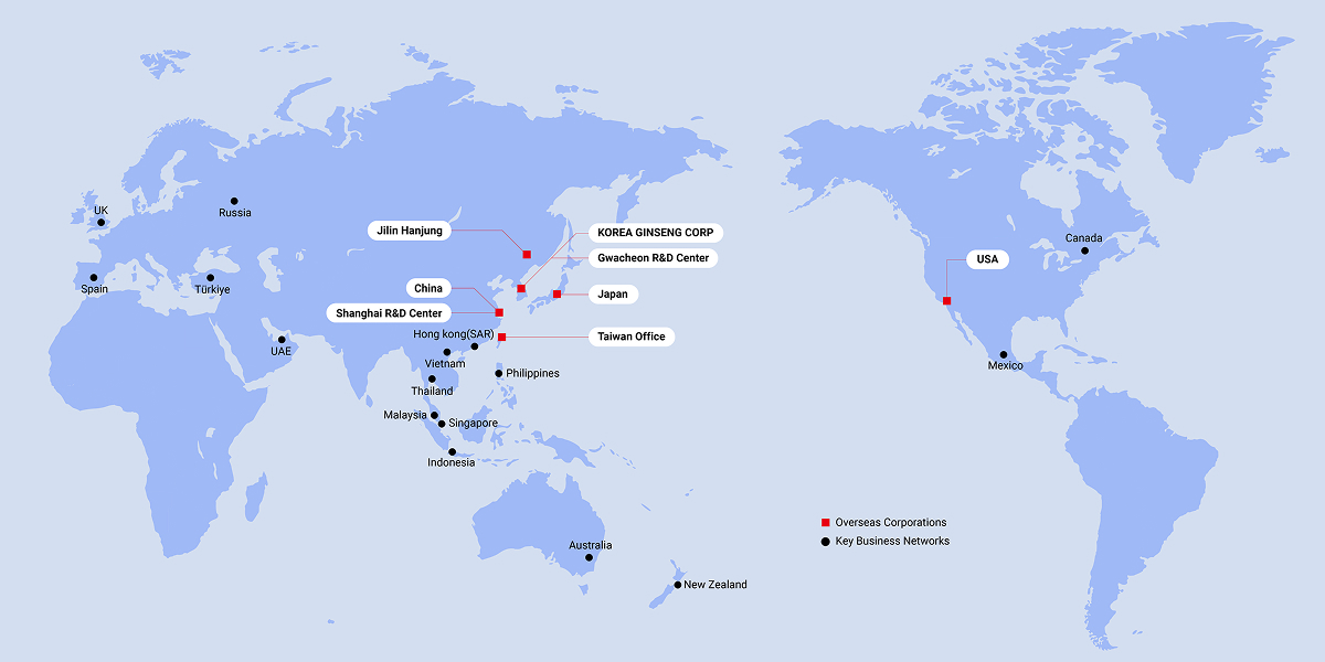Image of Korea Ginseng Corporation as a Major Country in the World